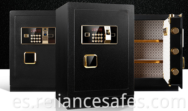 Fingerprint safe